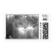 September Mist postage by MIGRAINE September Mist postage