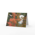 September Morning cards