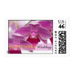 September Orchid Postage