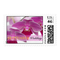 September Orchid Postage