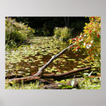 September Pond ~ print