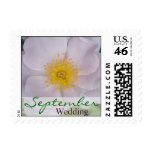 September Purple Flower Wedding Postage