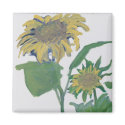 "September Sunflowers" magnets