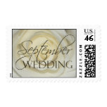 September Wedding cream rose Postage Stamp