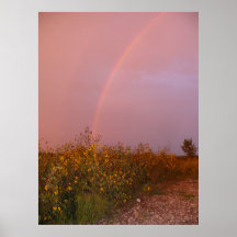 September Wildflowers Poster