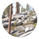 Sequoia and Kings Canyon National Park Round Stickers