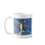 sequoia national park mugs