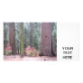 Sequoia National Park Photo Card
