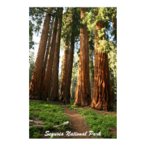 Sequoia National Park posters