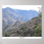 Sequoia National Park Posters