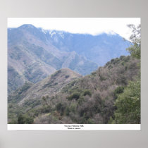 Sequoia National Park Posters