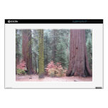 Sequoia National Park skins