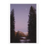 Sequoia Postcard