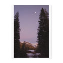 Sequoia Postcard