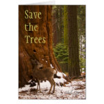 Sequoia, Save the Trees Cards