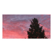 Sequoia Sunrise Photo Cards