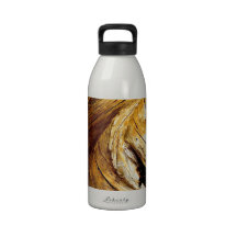 SEQUOIA TREE DETAIL IN SUNSET LIGHT WATER BOTTLE