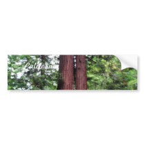 Sequoias Bumper Stickers
