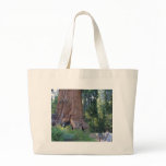 Sequoias Forrests Bark Fences bags