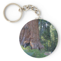 Sequoias Forrests Bark Fences Key Chain