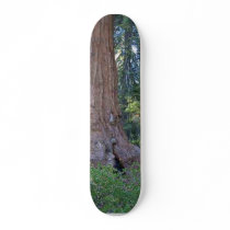 Sequoias Forrests Bark Fences Skate Board Deck