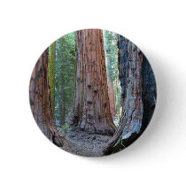 Sequoias Tree Forests buttons
