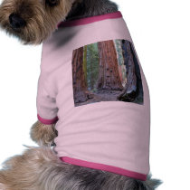 Sequoias Tree Forests pet clothing