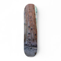 Sequoias Tree Forests skateboards by lifesphere Sequoias Tree Forests skateboards