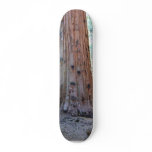 Sequoias Tree Forests Custom Skateboard