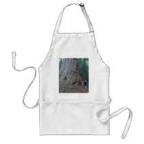 Sequoias Trees Giants aprons