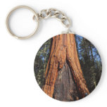 Sequoias Trees Giants Burned Bark keychains
