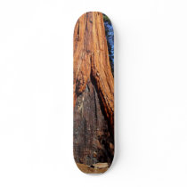 Sequoias Trees Giants Burned Bark Skateboard Decks