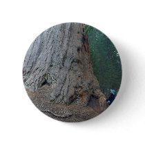 Sequoias Trees Giants buttons