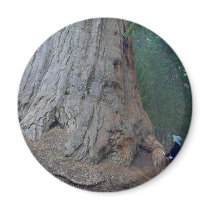 Sequoias Trees Giants magnets by lifesphere Sequoias Trees Giants magnets