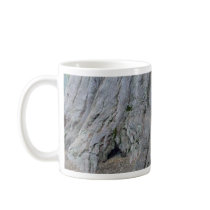 Sequoias Trees Giants mugs