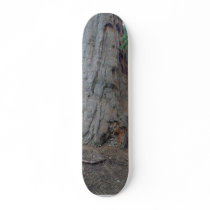 Sequoias Trees Giants Skateboard Decks