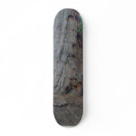 Sequoias Trees Giants Skateboard Decks