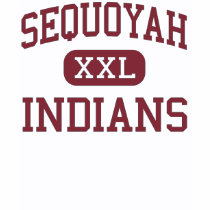 sequoyah sequoyah nuclear generating station meltdown radou