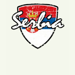 flag shield
