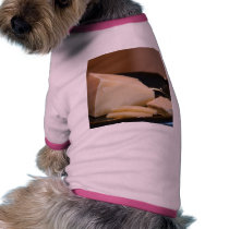 Serena Cheese pet clothing