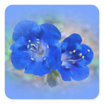 Serenade in Blue Stickers