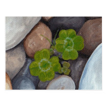 Serendipity Four Leaf Clovers postcards
