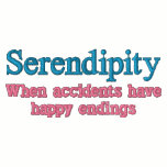 Serendipity: When Accidents Have Happy Endings embroidered shirts