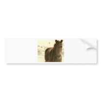 Serene Bumper Stickers