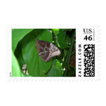 Serene Butterfly postage