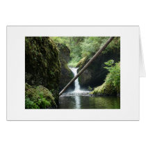 Serene cards