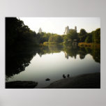 Serene Central Park Landscape, NYC, All Sizes Posters