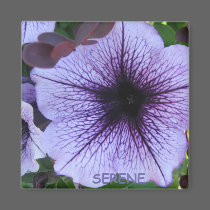 Serene Flower magnet by gramabarb Serene Flower magnet