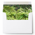 Serene Green Pond Envelope zazzle_envelope