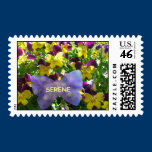 Serene pansy stamp stamps